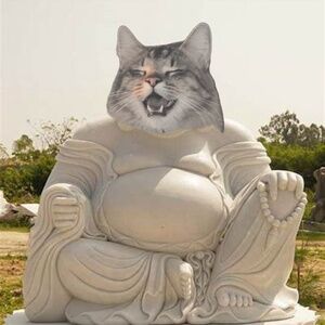 Meet your Posher, Mr.T